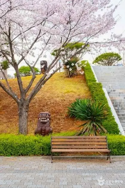 이사부사자공원&그림책 나라 사진