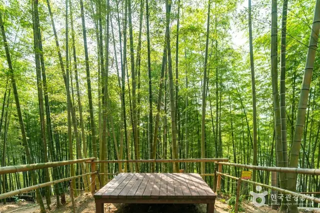 거제맹종죽테마공원 사진