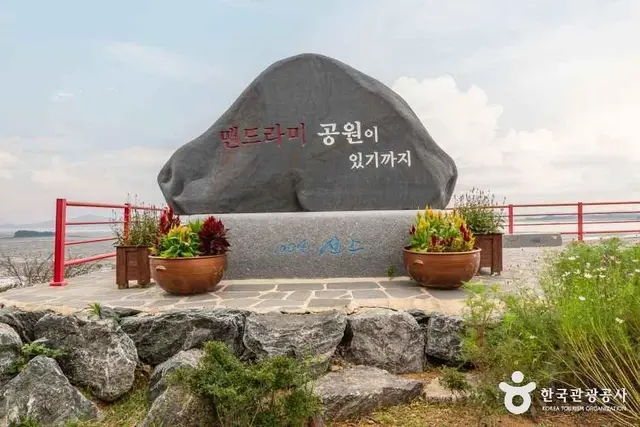 맨드라미정원 사진