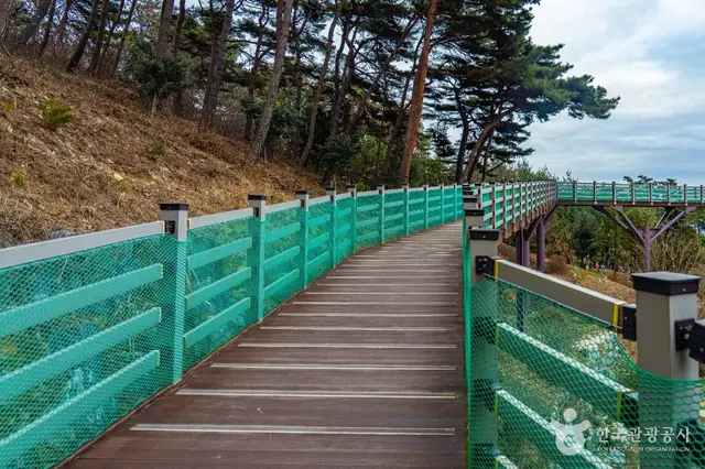 봉수산자연휴양림&수목원 사진