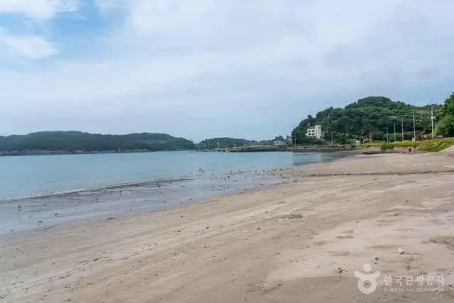 낭도해변 사진