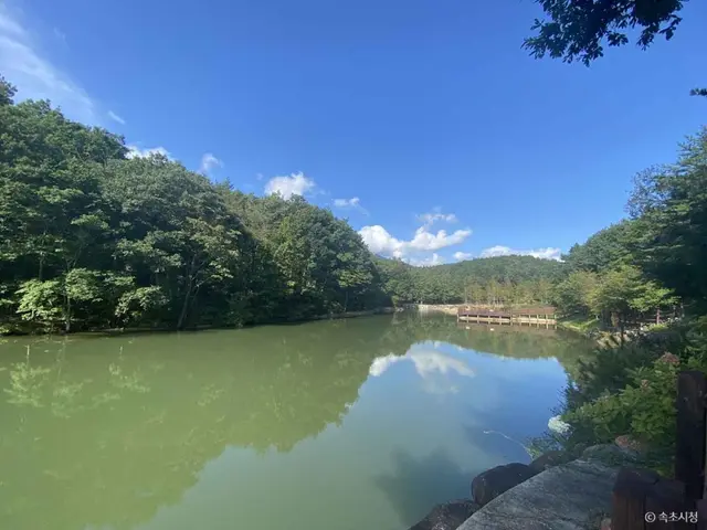 설악산 자생식물원 사진