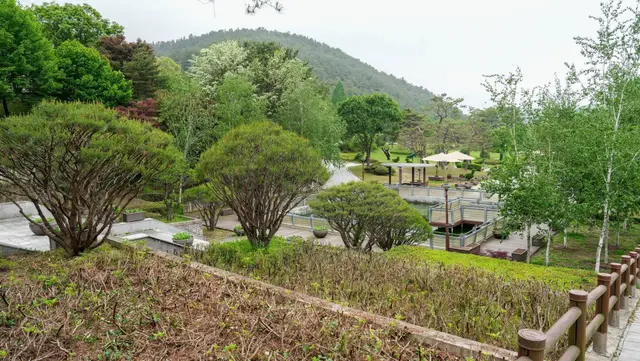 미동산수목원 사진