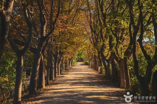 경북천년숲정원 사진