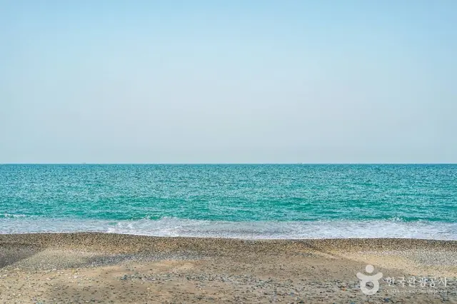 관성솔밭해변 사진