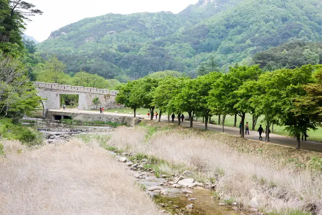 문경새재도립공원 사진