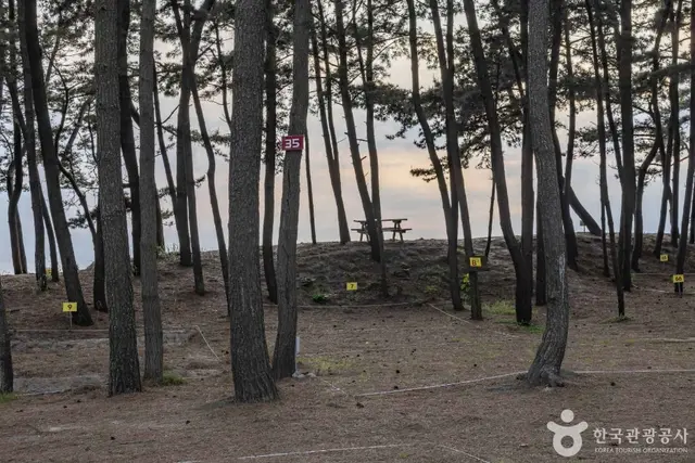 마검포해수욕장 사진