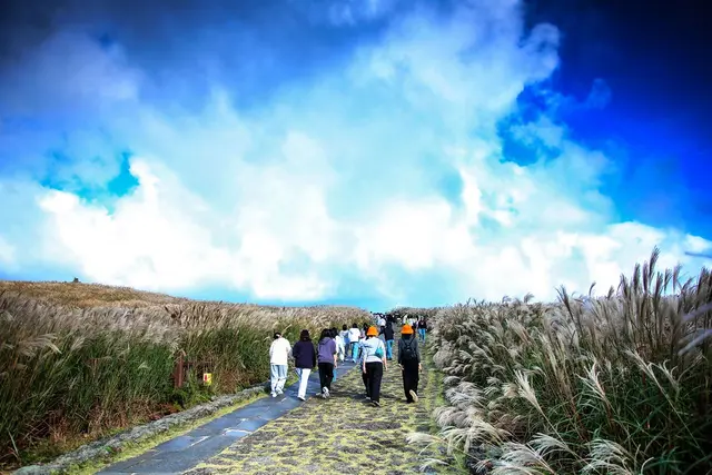 산굼부리 사진