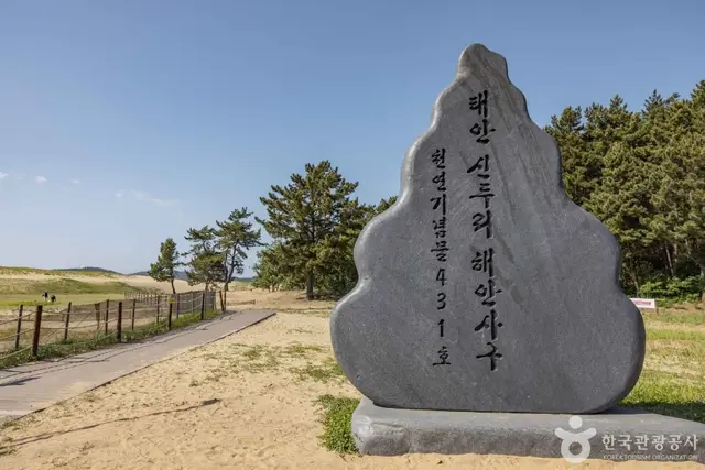 신두사구 쉼터공원 (신두사구 생태공원) 사진