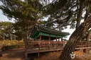 죽도정·죽도 전망대 사진