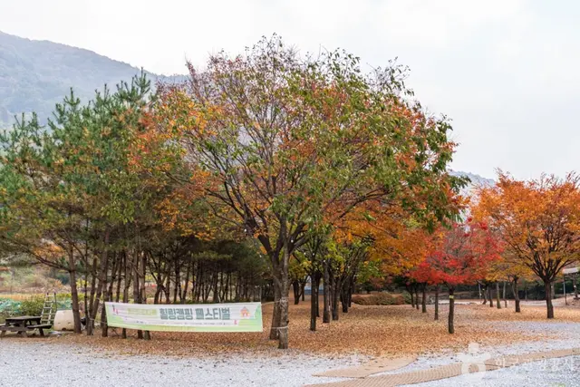 월악오토캠핑장 사진