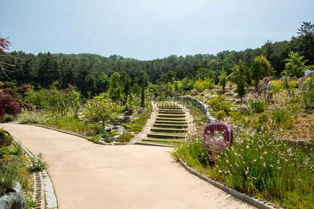 바다향기수목원 사진