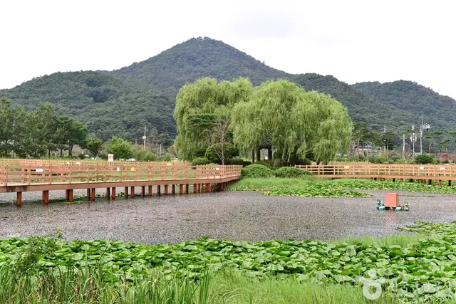 영광불갑테마공원 사진