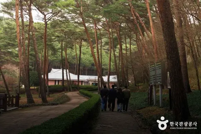 안면도자연휴양림 사진