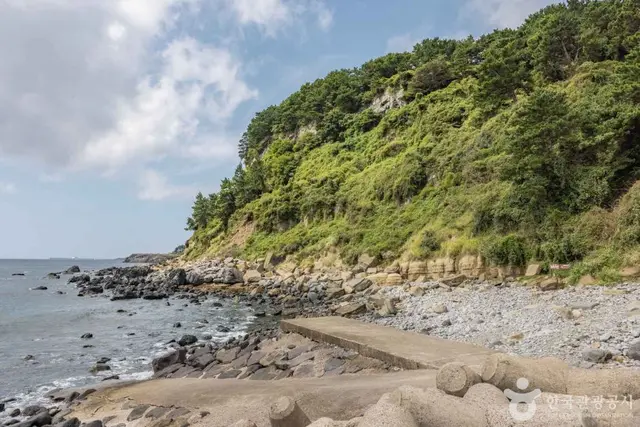 서귀포 패류화석산지 사진