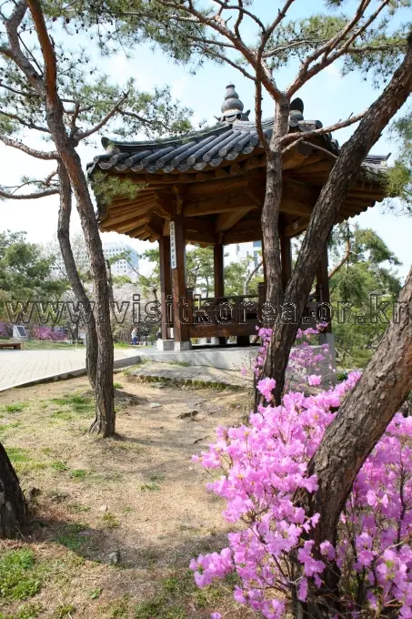 남산골한옥마을 사진