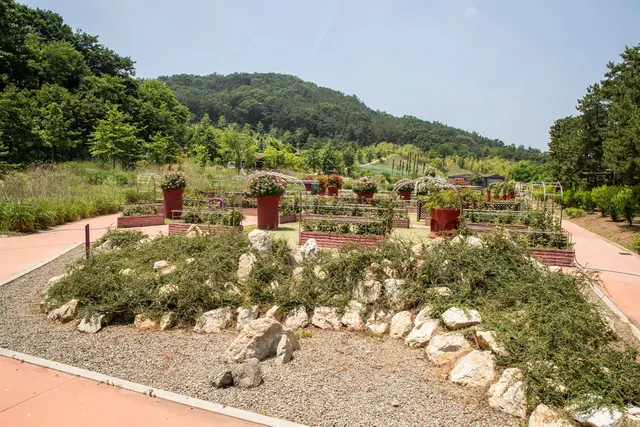 바다향기수목원 사진