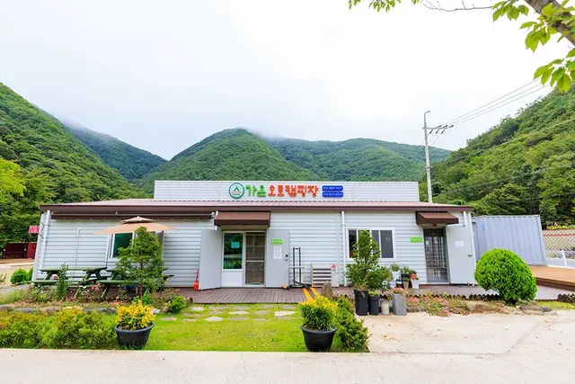 가온오토캠핑장 사진