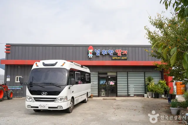널위한딸기농장 사진