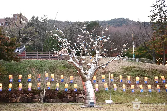 정읍사공원 유아숲체험원 사진