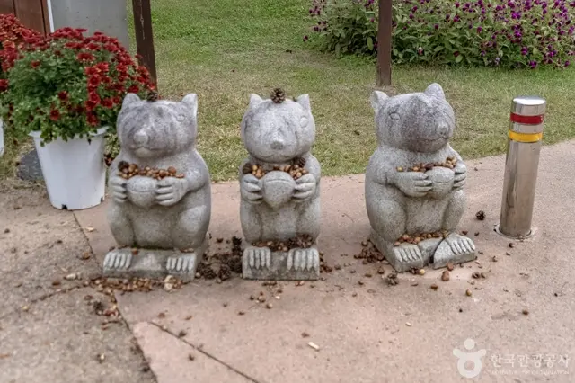공작산생태숲 사진