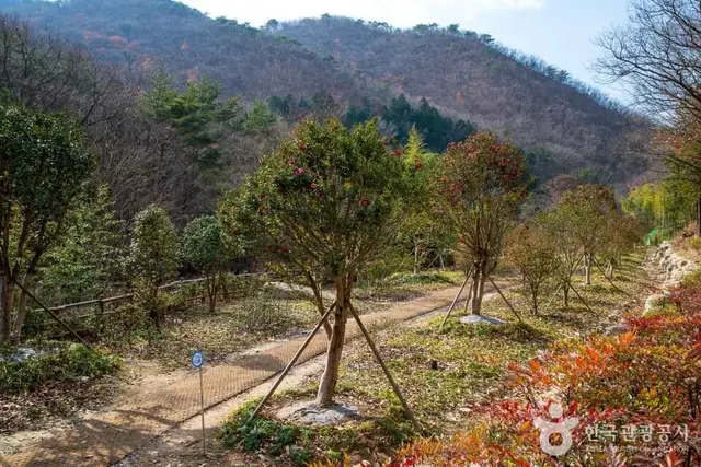 울산수목원 사진
