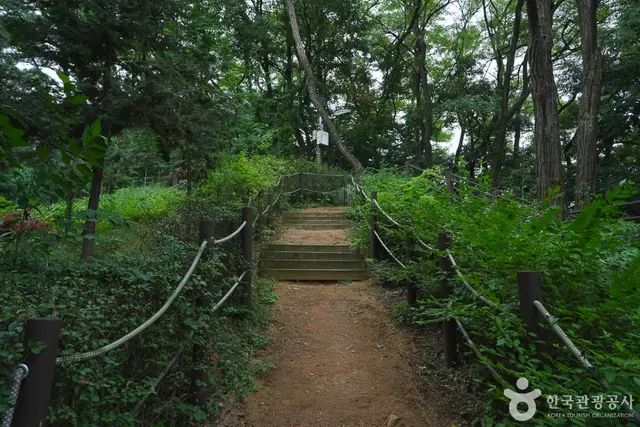 계양산 산림욕장 사진