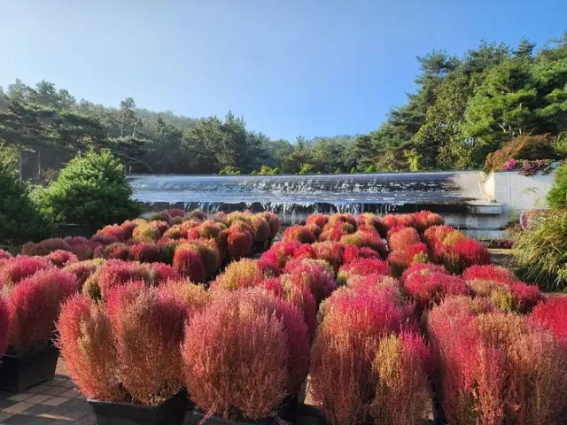 바다향기수목원 사진