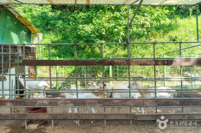 원주곤충마을박물관 사진