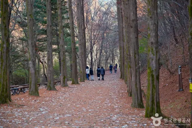 상소동 산림욕장 사진