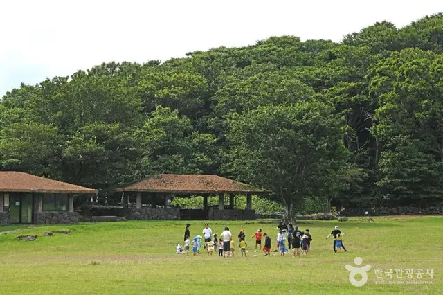 제주 교래자연휴양림 사진
