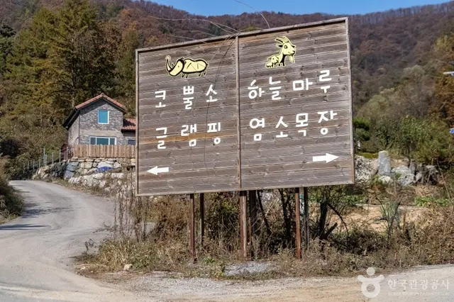 하늘마루염소목장 사진