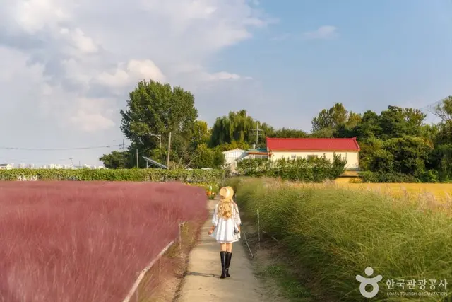 바람새마을 사진