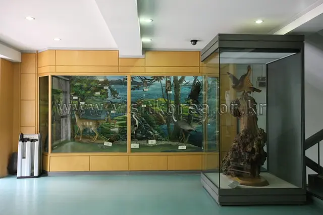 경희대학교 자연사박물관 사진