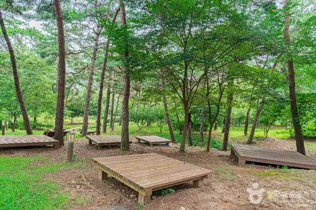 금성산생태숲 사진