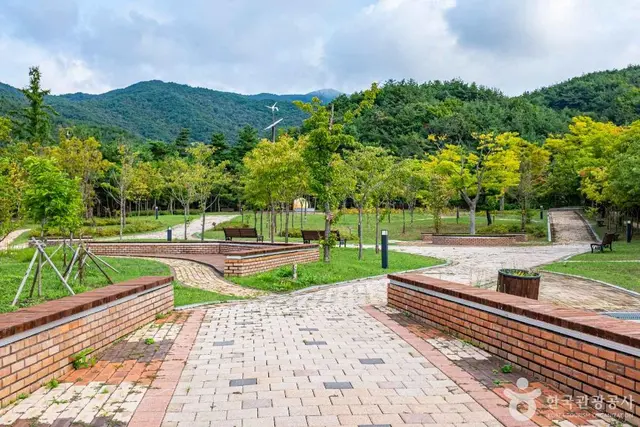 소백산 생태탐방원 사진