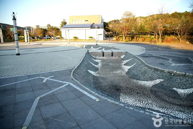 화천생태영상센터 사진
