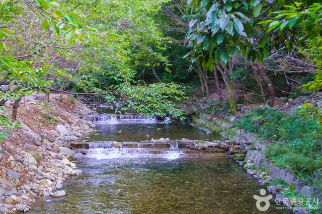 강당골계곡 사진
