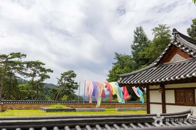 선비세상 사진