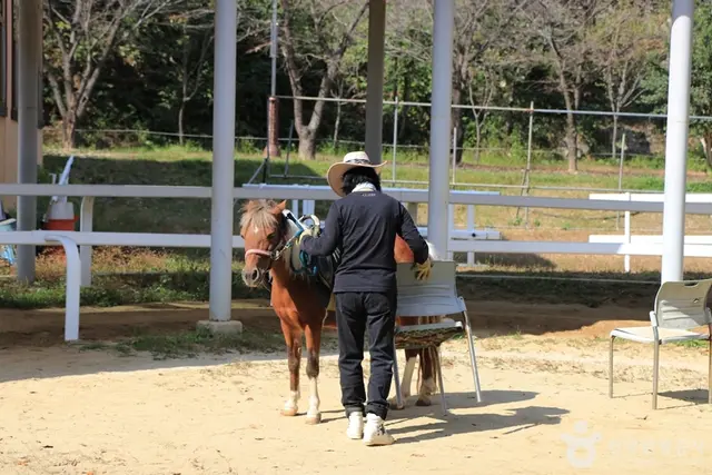 대가야기마문화체험장 사진