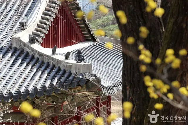창경궁 사진
