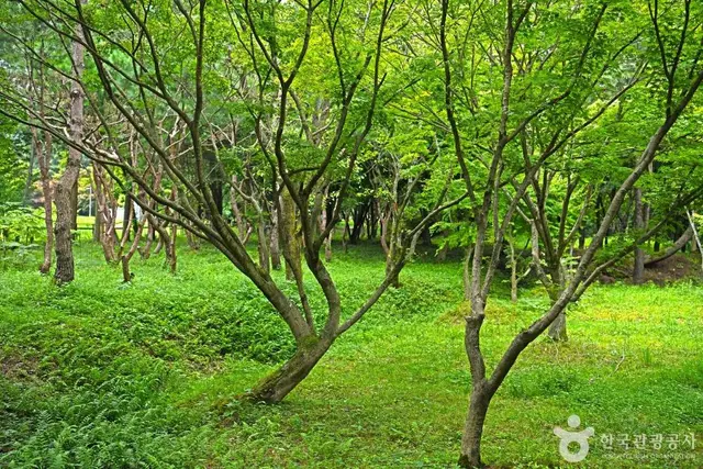정읍 내장산수목원 사진
