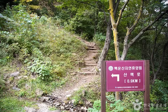 국립 백운산자연휴양림(원주) 사진