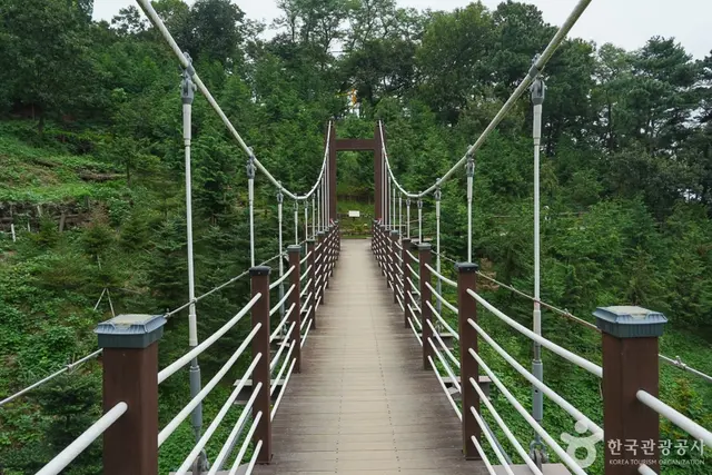 계양산 산림욕장 사진
