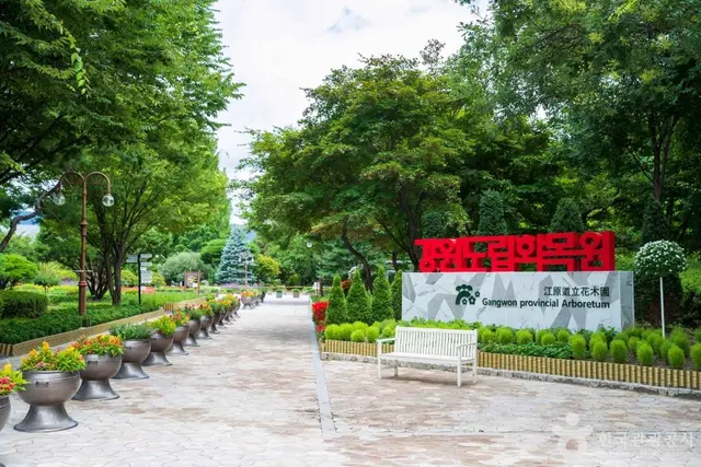 강원특별자치도립화목원 사진