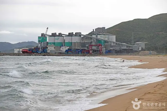 금진해변 사진