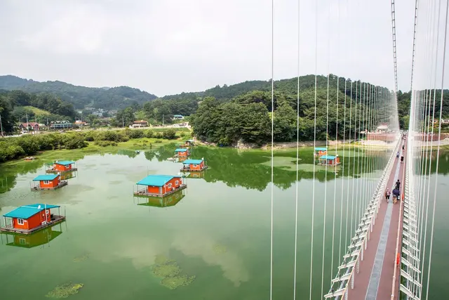 예당호 출렁다리 사진