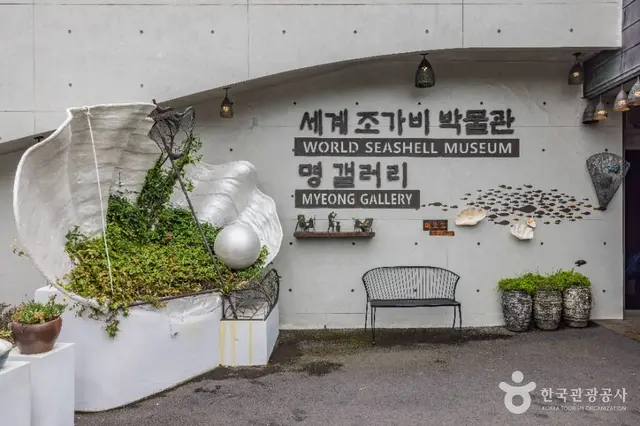 세계조가비박물관 사진