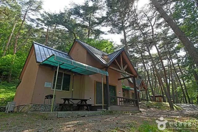 만수산자연휴양림 사진