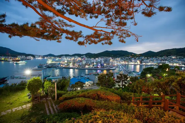 디피랑 사진